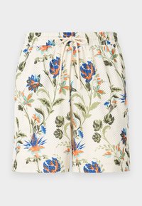 Nepasirinkta, alpine snow