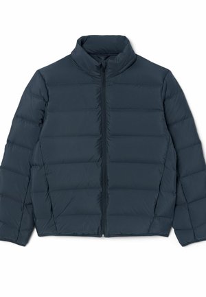 Lacoste, LACOSTE - - Giacca invernale - gris foncé-st