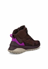 Sneaker alta marrone con dettagli viola, dotata di una tomaia testurizzata, un colletto imbottito e una suola in gomma chiara con motivi di aderenza.