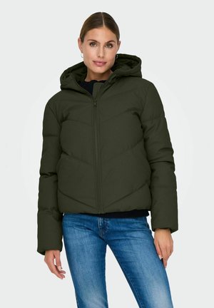 JDY JDYARNHEM WATER - Veste d'hiver - forest night