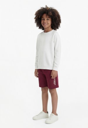 Tommy Hilfiger MONOTYPE PRINT - Shorts - rich cherry