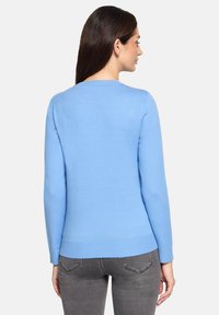 Pull bleu clair en maille douce, avec manches longues et ourlet côtelé. Le dos présente un col rond simple.