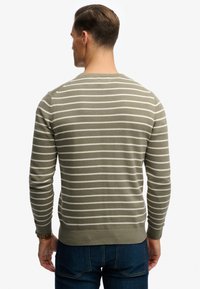 Suéter de punto a rayas verdes y blancas con cuello redondo, puños y dobladillo acanalados. La modelo está de espaldas, mostrando el diseño trasero.