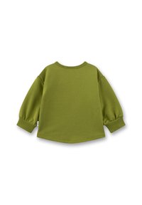Grüner Pullover mit langen Ärmeln und Rundhalsausschnitt. Weicher Stoff mit gepufften Ärmeln und gerippten Bündchen. Glatte, schlichte Textur.