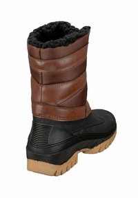 LICO FENNA - Winter boots - braun schwarz