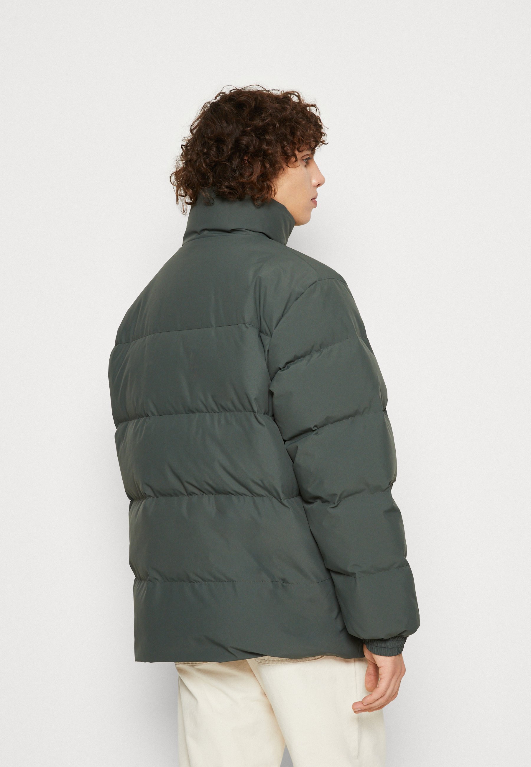 Carhartt WIP DANVILLE JACKET - Winter jacket - boxwood/black/dark