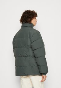 Carhartt WIP DANVILLE JACKET - Winter jacket - boxwood/black