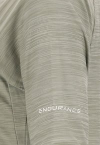 Maillot de sport vert clair avec des rayures verticales et un tissu texturé. Présente le logo "ENDURANCE" en blanc sur la manche.