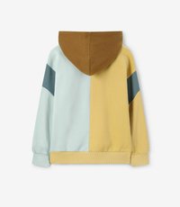Hooded sweatshirt met een kleurblokontwerp in lichtblauw, geel, een bruine capuchon en donkere blauwe strepen op de mouwen, weergegeven vanaf de achterkant.