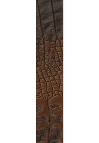 Camp David Gürtel - dark brown