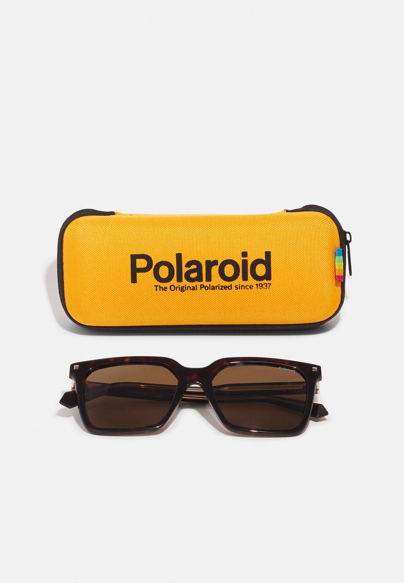 Polaroid Sunglasses - havana/brown - Zalando.ie display picture 1