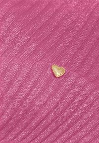 Roze textiel met een klein gouden hartvormig versiering omrand met rode stiksel, met een glanzende oppervlakte en geribbelde structuur.