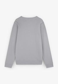 Grauer Sweatshirt mit langen Ärmeln, gerippten Bündchen, rundem Halsausschnitt und glatter Textur ohne sichtbare Muster oder Logos.