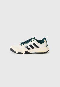 SOLEMATCH CONTROL 2 - Erineva kattega väljaku tennisejalatsid - off white/silver-coloured/aurora ivy
