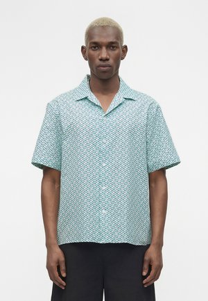 Mann mit kurz gebleichtem Haar, der ein grün-weiß gemustertes kurzärmeliges Hemd und schwarze Hosen trägt, steht vor einem einfarbigen Hintergrund.