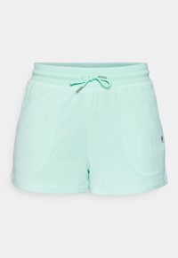 SHORTS RIXA - Short de sport - ice green