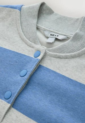 Pelēka un zila svītraina džemperis ar ribotu apkakli un divām zilām pogām priekšpusē. Uz etiķetes rakstīts "NEXT." Mīksta auduma tekstūra.