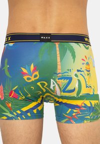 Boxer-briefs pour hommes colorés avec un design tropical comportant des palmiers, des perroquets et le texte "Brésil". Tissu doux et taille élastique.