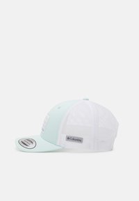 Columbia YOUTH SNAP BACK UNISEX - Boné - icy morn tree flag