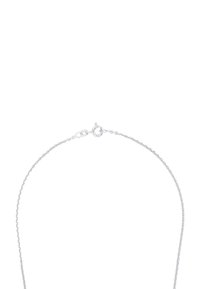 Collana in argento caratterizzata da un design a maglia fine, superficie lucida e un gancio circolare per una chiusura sicura.
