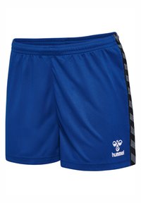 Blauwe sportbroek gemaakt van gladde stof met een elastische tailleband, voorzien van zwarte zijstrepen met een geruit patroon en een logo.