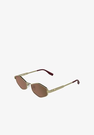 Zonnebril met goudkleurig montuur, bruine getinte zeshoekige glazen en kastanjekleurige oorpunten, voorzien van verstelbare neuspads.