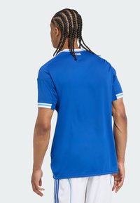 Blaues Sporthemd mit kurzen Ärmeln, ausgestattet mit einem weißen Kragen und blauen Akzenten an den Ärmeln. Glattes, atmungsaktives Material.