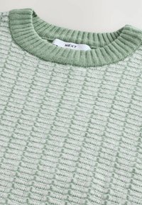 Hellgrüner gestrickter Pullover mit einem strukturierten Muster, einem gerippten Rundhalsausschnitt und weichen, flauschigen Garn-Details im gesamten Design.