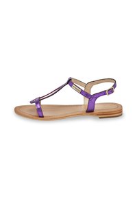 No seleccionado, violet