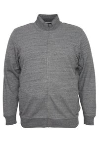 BHBLENNER - Sweatshirt - pewter mix