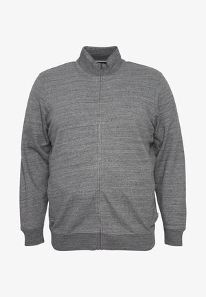 Grå zip-up sweatshirt med høj krave, lange ærmer, ribbede manchetter og en glat tekstur. Enkelt design med en frontlynlås.