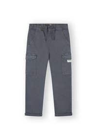 Pantalones cargo grises de algodón, con cinturilla elástica, múltiples bolsillos, piernas rectas y puños enrollados para un look casual.