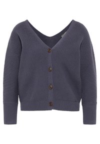 DreiMaster Vest - grey