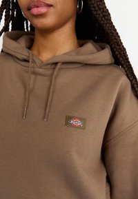 Brun hoodie i mjukt tyg. Har en logotyp-patch och snörningsdetalj. Texturen verkar slät med en avslappnad passform.