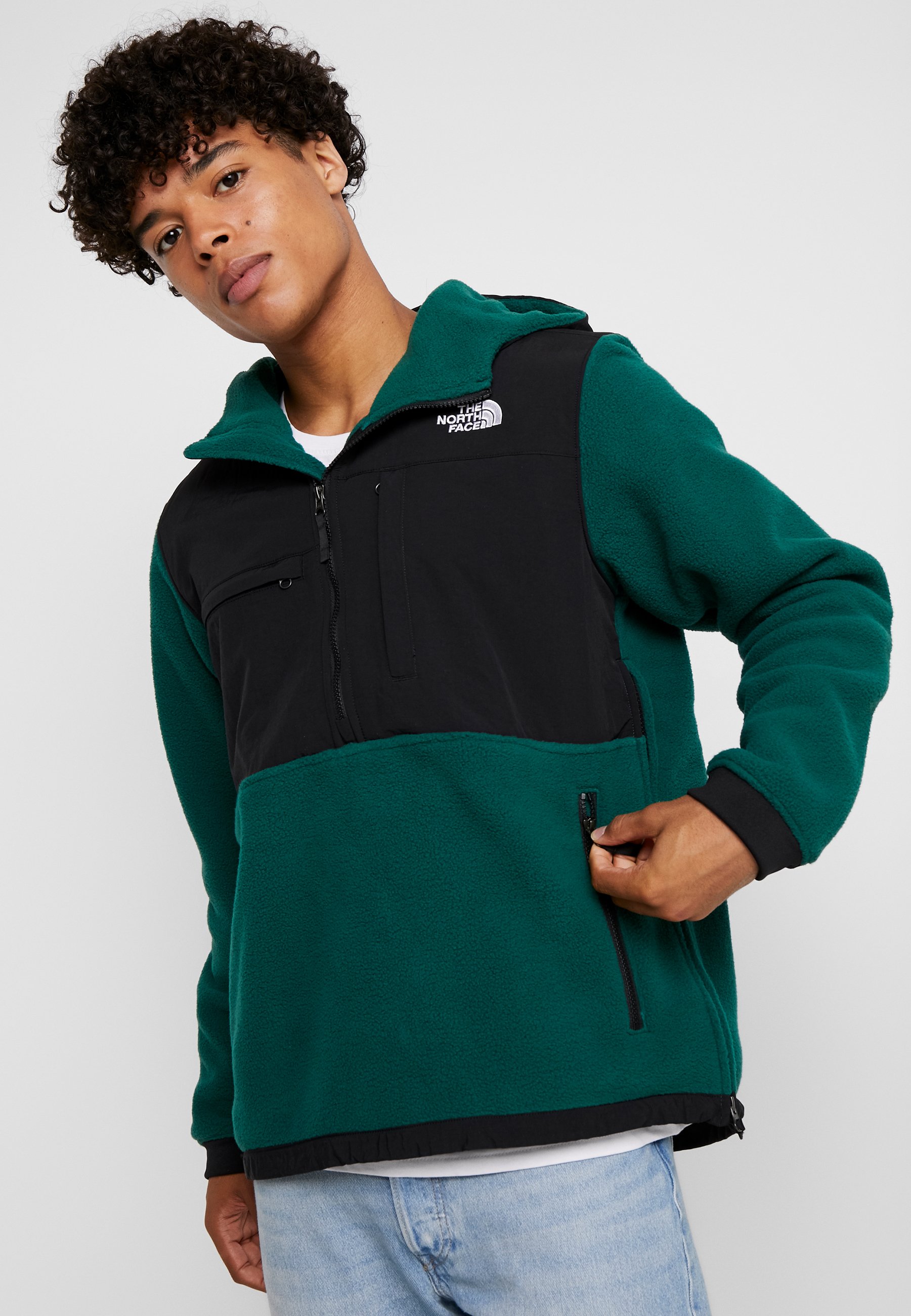 the north face denali anorak jacket