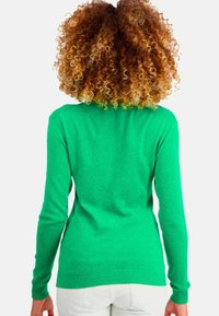 Grüner Strickpullover mit langen Ärmeln und tailliertem Schnitt. Weiche Textur, runder Halsausschnitt und schlichte Optik. Weiße Hose wird getragen.