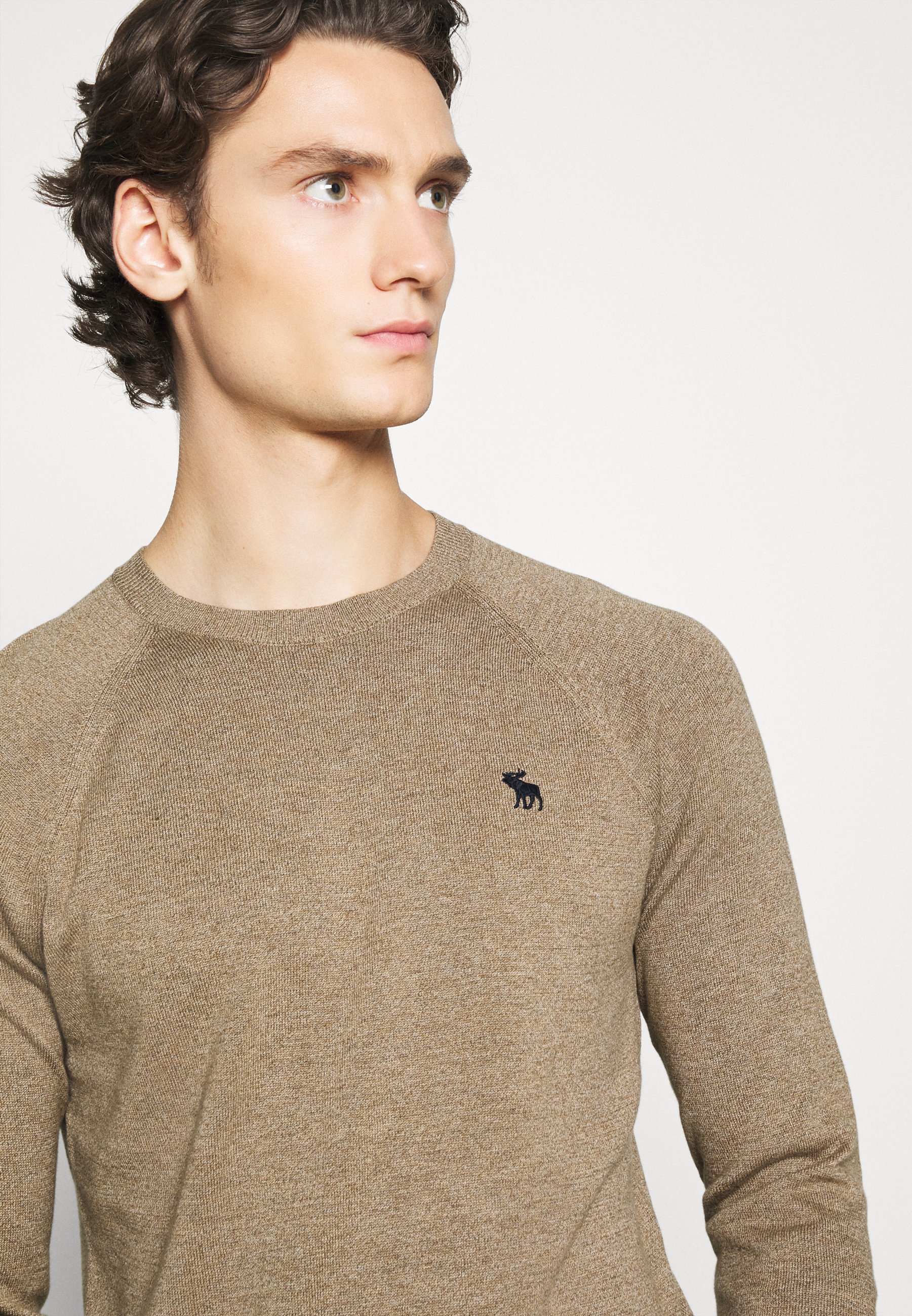 Abercrombie & Fitch CORE ICON CREW Strikkegenser tan Abercrombie & Fitch CORE ICON CREW - Strikkegenser - tan