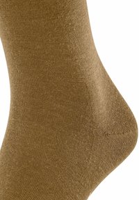 Calzino di cotone marrone con una superficie liscia, dotato di tallone e punta rinforzati, e un semplice design a coste.