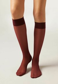 Calzedonia Kniestrümpfe - mottled bordeaux