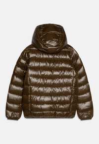Save the duck GAVIN UNISEX - Veste d'hiver - bark green