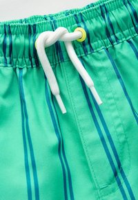 Gröna simshorts med vertikala blå ränder, elastisk midja och vit snöre med gul accent. Slät tyg och sömnadsdetaljer.