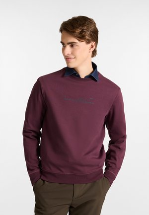 PARICOLLO CON LOGO 3D - Sweatshirt - bordeaux screziato