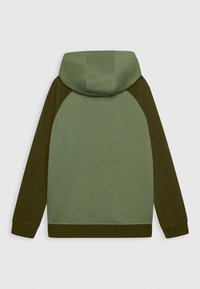 Felpa con cappuccio in tonalità di verde. Presenta maniche raglan, una consistenza morbida e una vestibilità rilassata. Polsini e orlo standard senza branding visibile.