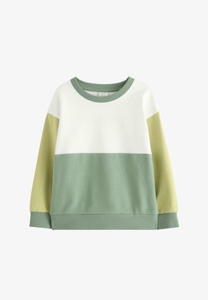 Grüner und cremefarbener, farblich blockierter Sweatshirt mit rundem Ausschnitt, gerippten Bündchen und lockerer Passform. Hergestellt aus weichem, atmungsaktivem Stoff.