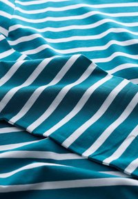 Seasalt Cornwall SAILOR - Longsleeve - teal breton dark teal chalk