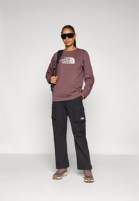 The North Face DREW PEAK CREW - Sportinis megztinis - tawny quartz/high rise grey
