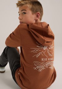 Bruine hoodie met een geborduurde afbeelding van bergen en golven, met de tekst "BLUE RIDGE." De stof lijkt zacht en casual te zijn.