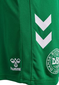 Gröna sportshorts i lättviktsmaterial, med vita chevronmönster och en cirkulär logotyp med text i nedre vänstra hörnet.