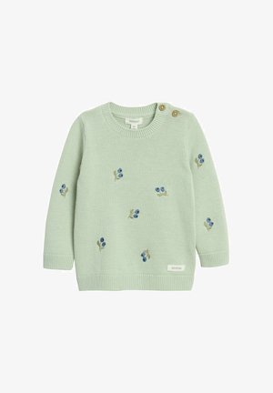 Lichtgroene gebreide babytrui met blauwe bloemenborduursels, geribbelde manchetten en zoom, en twee houten knopen op de linker schouder.