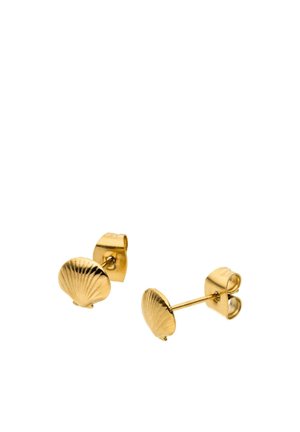 Goldene Ohrstecker in Form kleiner Muscheln mit Schmetterlingsverschlüssen auf weißem Hintergrund.